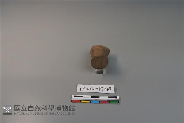 陶鈕藏品圖，第2張