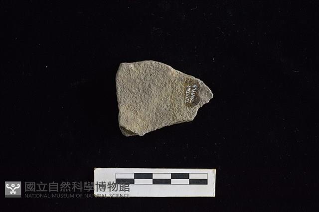 陶片藏品圖，第2張