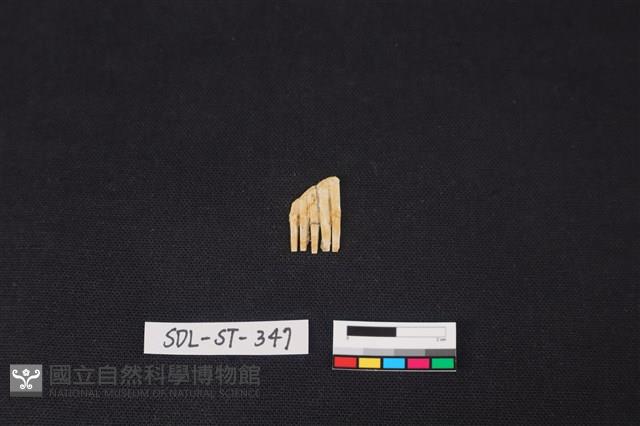 玉飾藏品圖，第2張