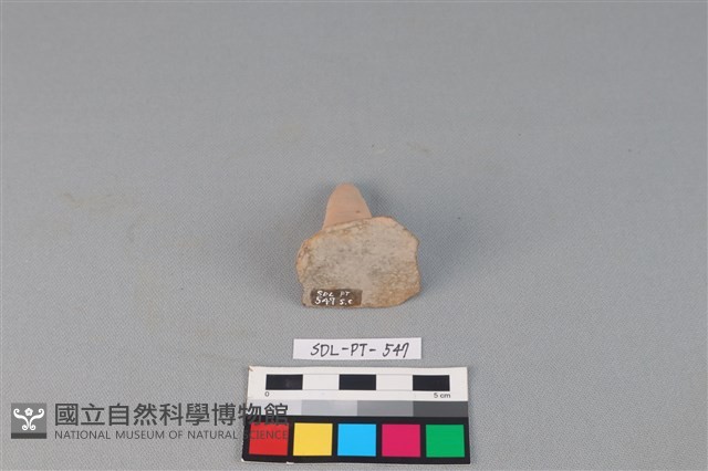 陶蓋鈕藏品圖，第2張