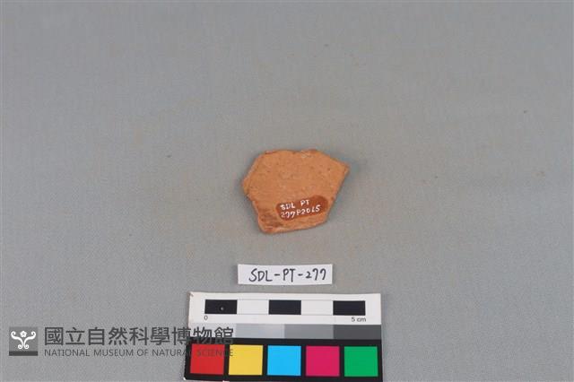 陶片藏品圖，第2張