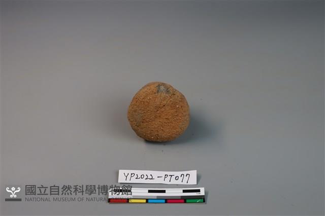 陶鈕藏品圖，第2張