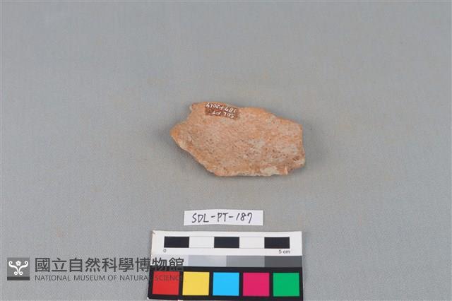 陶片藏品圖，第2張