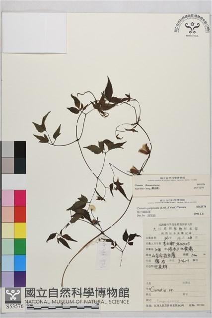 登錄號:S053576藏品圖，第2張