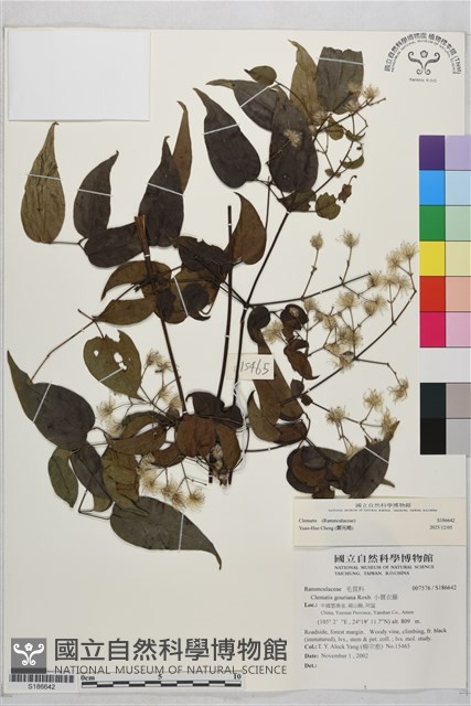 登錄號:S186642藏品圖，第2張