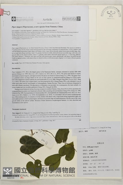 麻根藏品圖，第2張