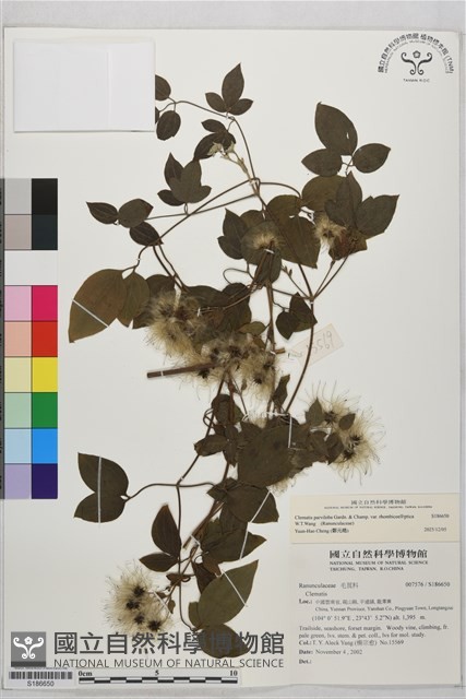 登錄號:S186650藏品圖，第2張