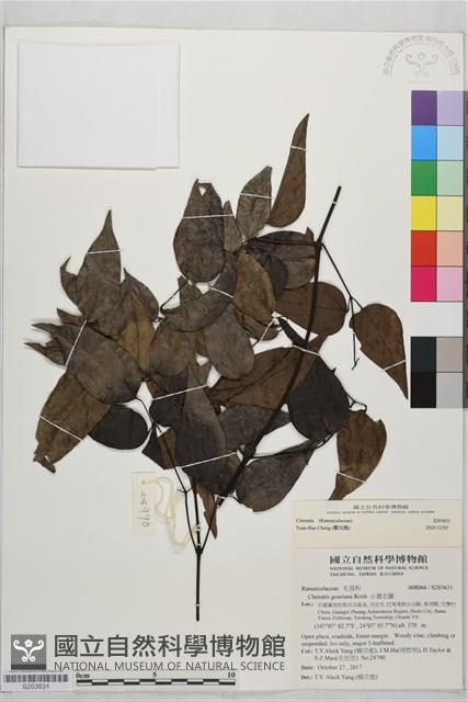 登錄號:S203631藏品圖，第2張