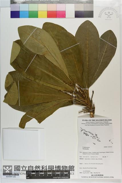 登錄號:S203541藏品圖，第2張