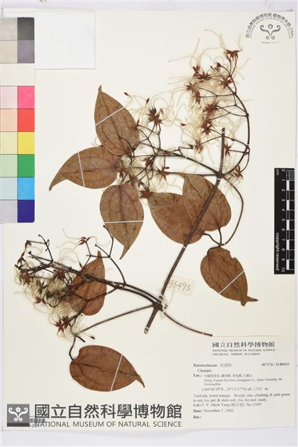 登錄號:S186645藏品圖，第2張