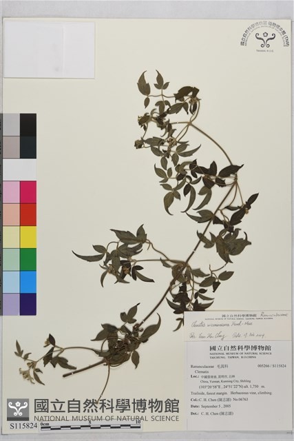 登錄號:S115824藏品圖，第2張