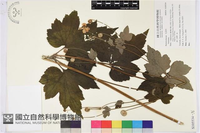 登錄號:S105534藏品圖，第2張