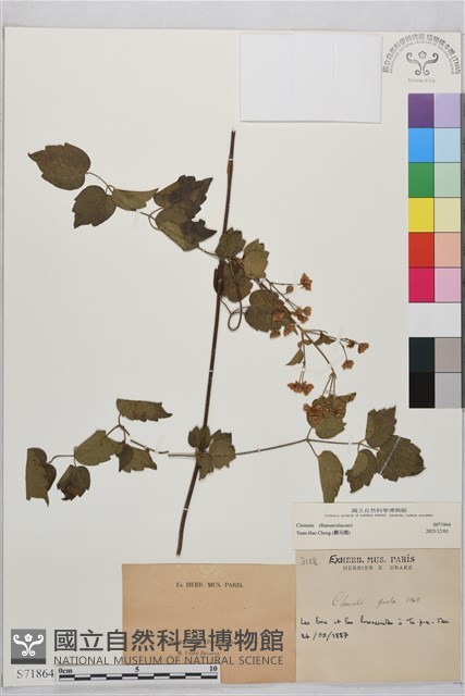 登錄號:S071864藏品圖，第2張