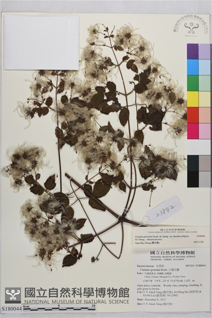登錄號:S180044藏品圖，第2張
