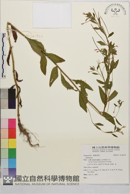 登錄號:S126374藏品圖，第1張