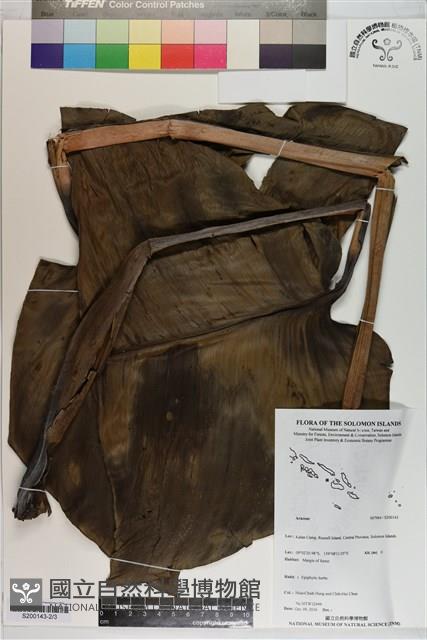 登錄號:S200143藏品圖，第2張