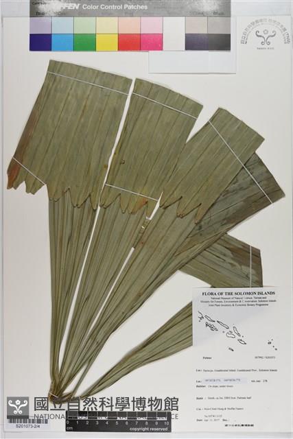 登錄號:S201073藏品圖，第2張