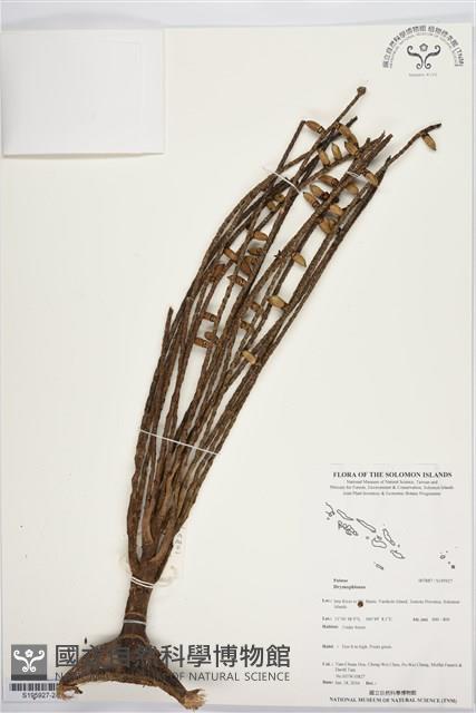 登錄號:S195927藏品圖，第2張