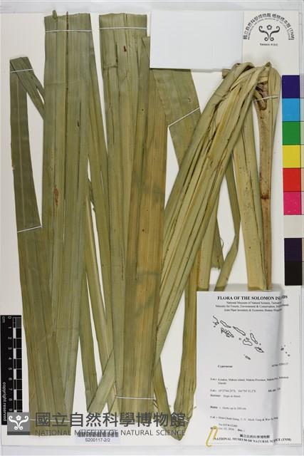 登錄號:S200117藏品圖，第2張