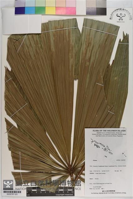 登錄號:S200787藏品圖，第2張