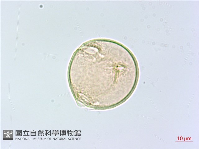 登錄號:S148296藏品圖，第3張