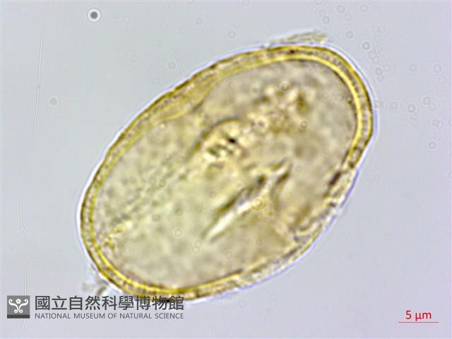 登錄號:S048676藏品圖，第2張