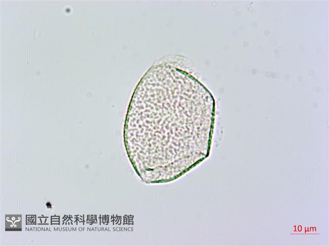 登錄號:S119582藏品圖，第2張