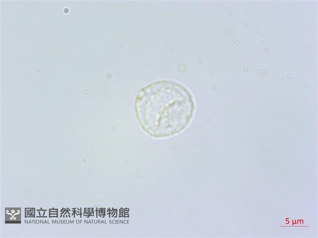 登錄號:S118981藏品圖，第2張