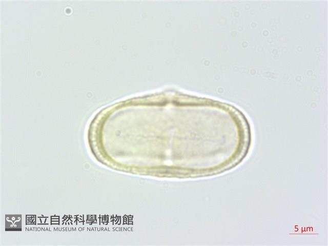 登錄號:S145799藏品圖，第2張