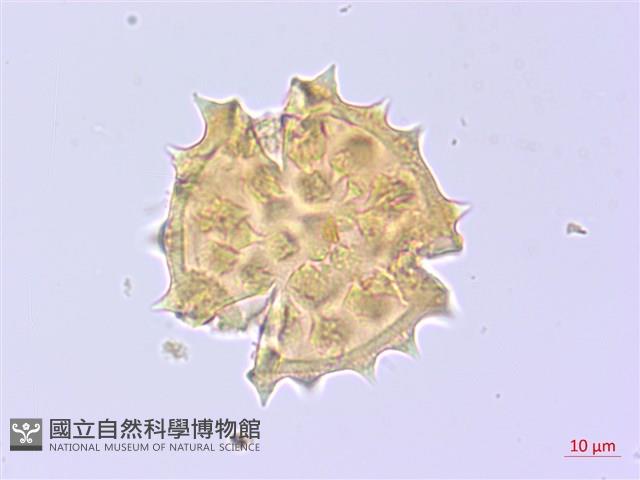 登錄號:S095832藏品圖，第2張