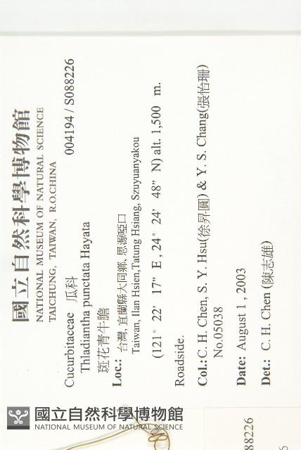 青牛膽藏品圖，第2張