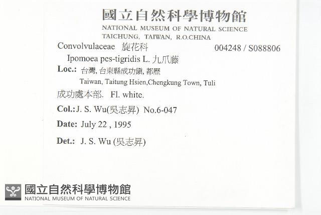 九爪藤藏品圖，第2張