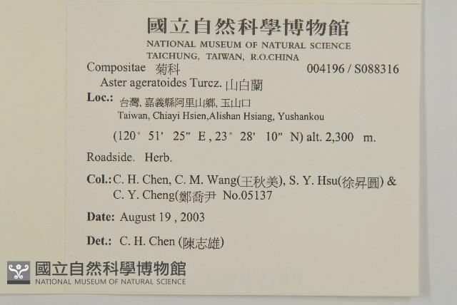 山白蘭藏品圖，第2張