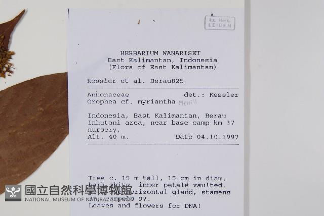 登錄號:S058816藏品圖，第2張