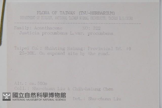 爵床藏品圖，第2張