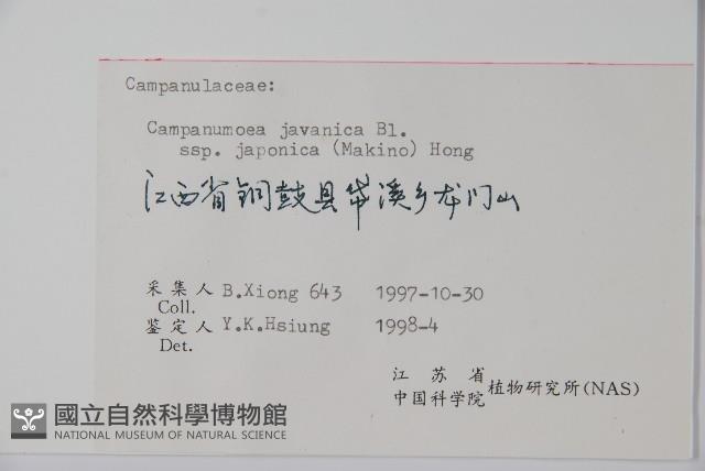 金錢豹藏品圖，第2張