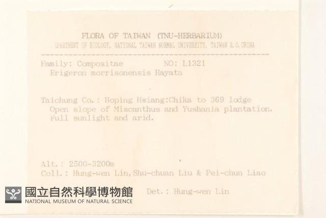 玉山飛蓬藏品圖，第2張