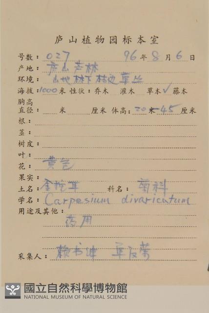 煙管草藏品圖，第2張