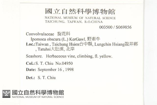 野牽牛藏品圖，第2張