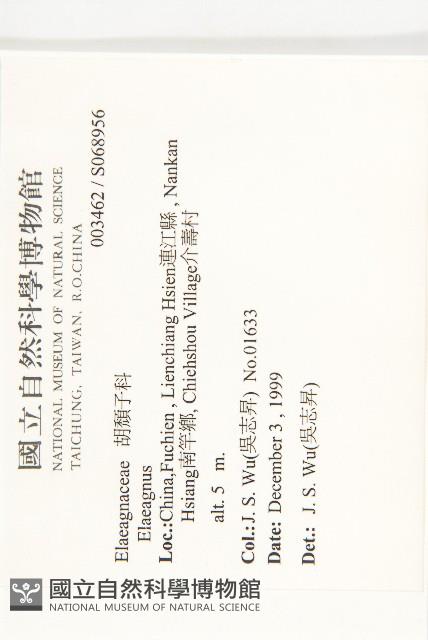 登錄號:S068956藏品圖，第2張