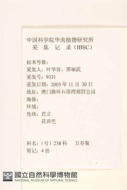 西番菊、萬壽菊藏品圖，第2張