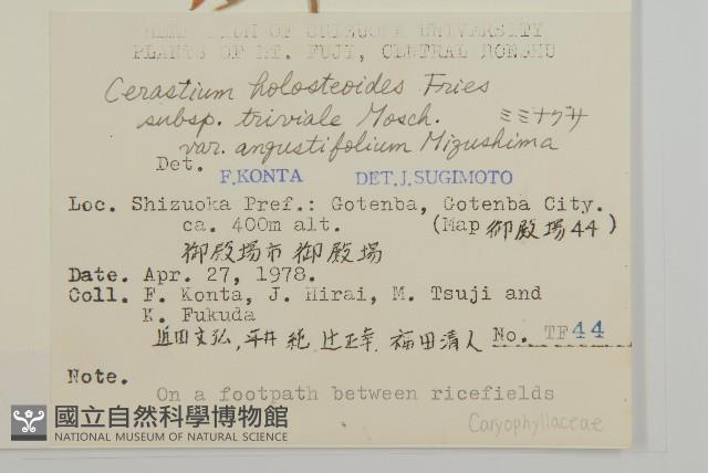 登錄號:S049096藏品圖，第2張