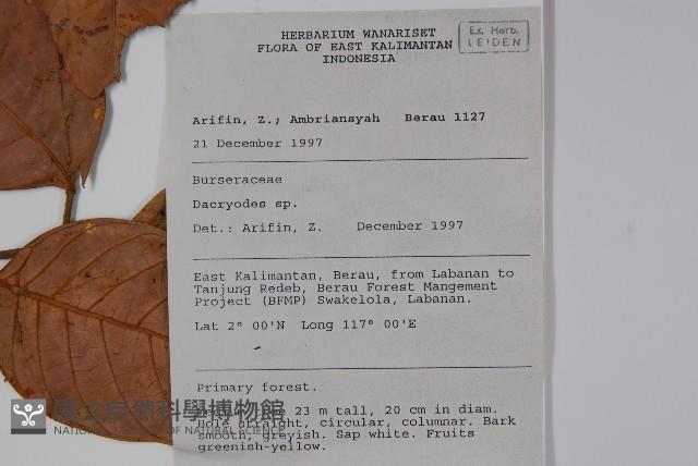 登錄號:S058796藏品圖，第2張