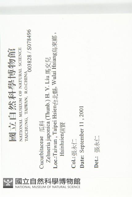 馬交兒藏品圖，第2張