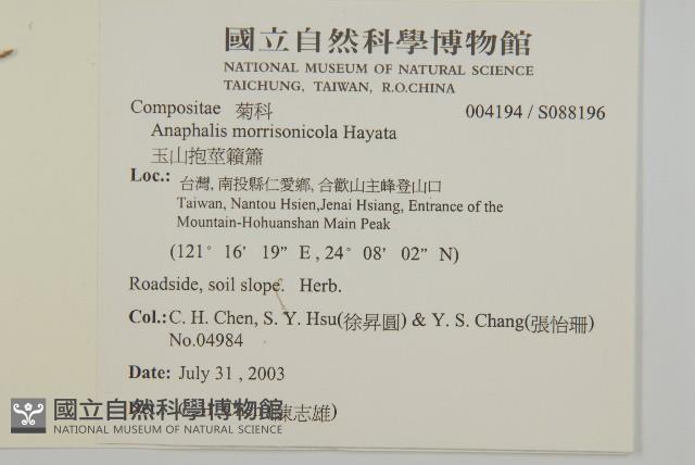 玉山抱莖籟簫藏品圖，第2張