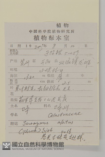 衛矛藏品圖，第2張