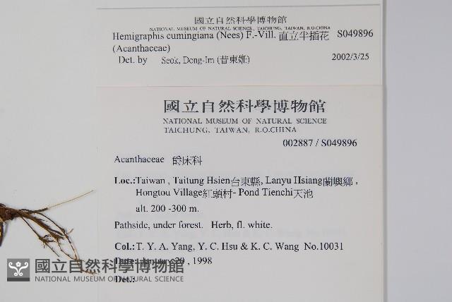 直立半插花藏品圖，第2張