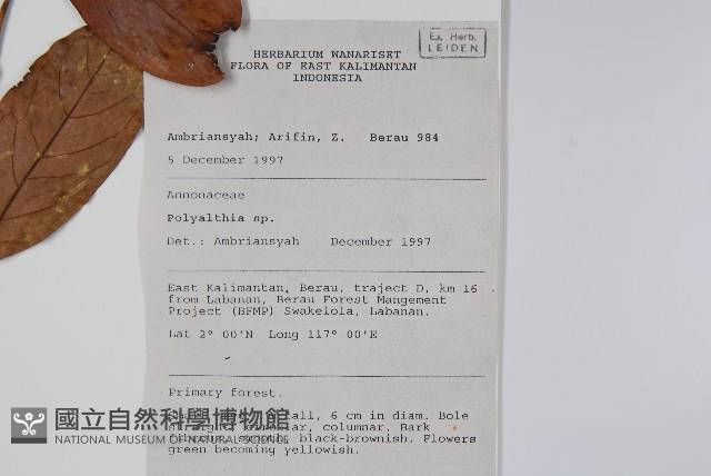 登錄號:S058896藏品圖，第2張