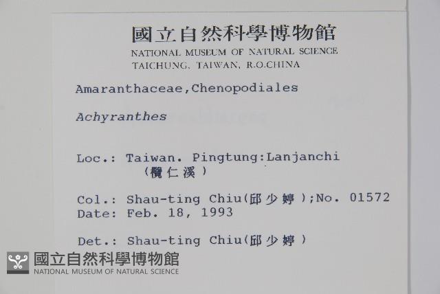 登錄號:S009996藏品圖，第2張