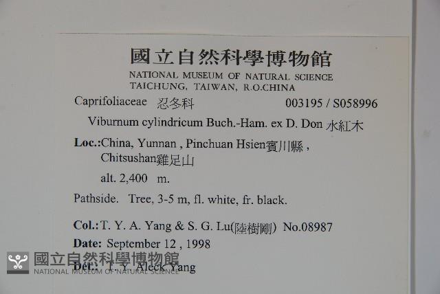 水紅木藏品圖，第2張